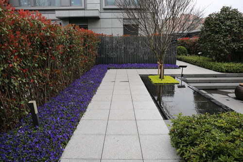 與大師同行 上海精品景觀項目考察活動圓滿結束