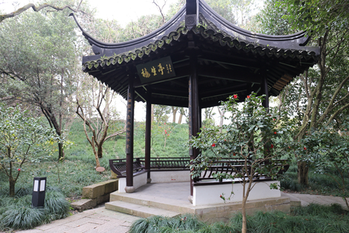 與大師同行 上海精品景觀項目考察活動圓滿結束