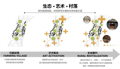 朱玲:鄉村設計之生命力——設計與產業協同