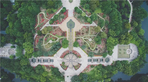 中國最時尚的未來花世界,帶你一探究竟!