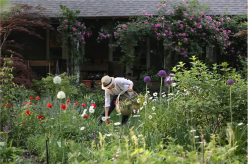 中國最時尚的未來花世界,帶你一探究竟!