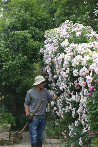 中國最時尚的未來花世界,帶你一探究竟!