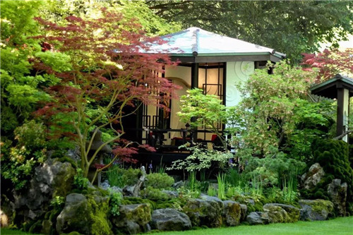 中國最時尚的未來花世界,帶你一探究竟!