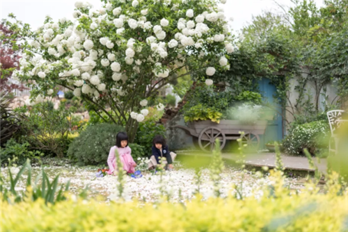 中國最時尚的未來花世界,帶你一探究竟!