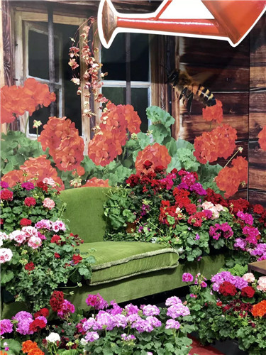 中國最時尚的未來花世界,帶你一探究竟!