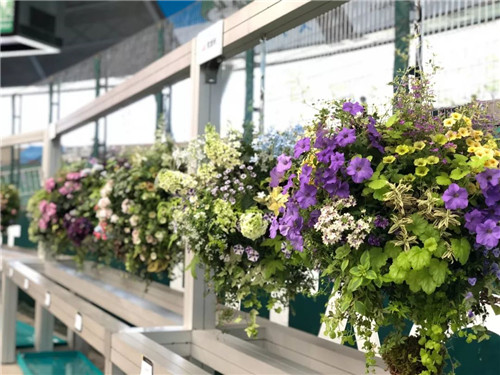 中國最時尚的未來花世界,帶你一探究竟!