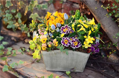 中國最時尚的未來花世界,帶你一探究竟!