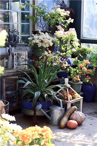 中國最時尚的未來花世界,帶你一探究竟!