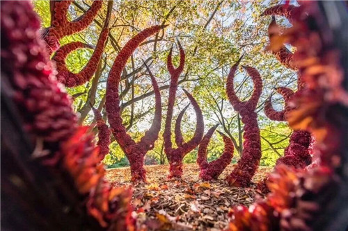 中國最時尚的未來花世界,帶你一探究竟!