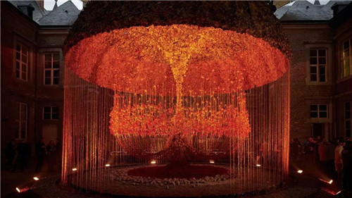 中國最時尚的未來花世界,帶你一探究竟!