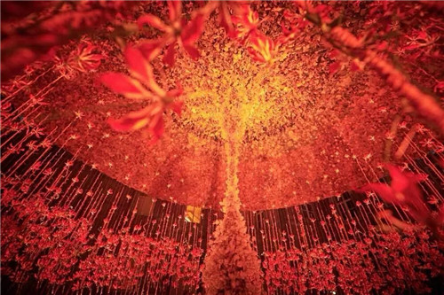 中國最時尚的未來花世界,帶你一探究竟!