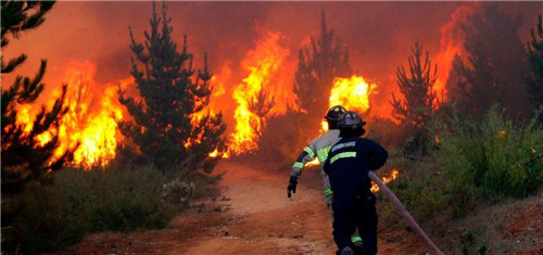 “完美火災”-景觀遺產的緊急情況處理和重建城市過程