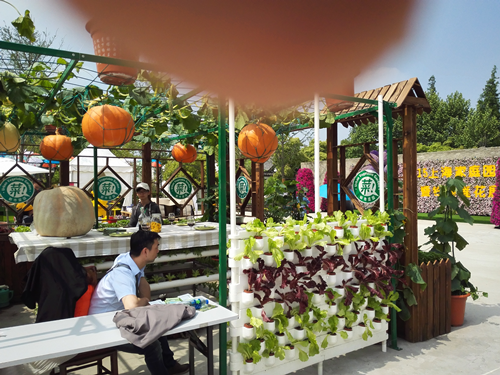 郗金標:養生小院——農村全面振興模式探索