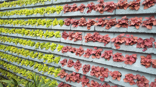 郗金標:養生小院——農村全面振興模式探索