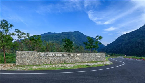 超低造價的生態景觀 | 秦嶺國家植物園人工濕地