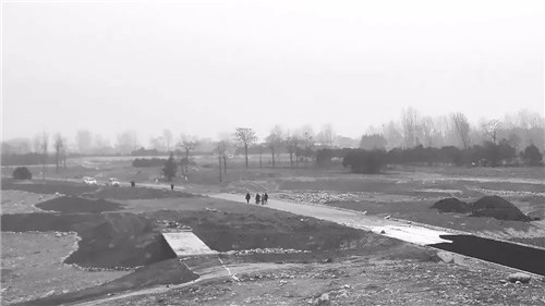 超低造價的生態景觀 | 秦嶺國家植物園人工濕地