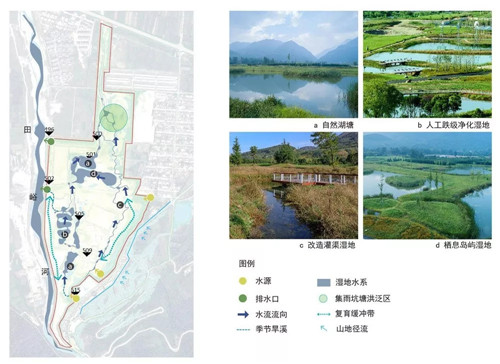超低造價的生態景觀 | 秦嶺國家植物園人工濕地