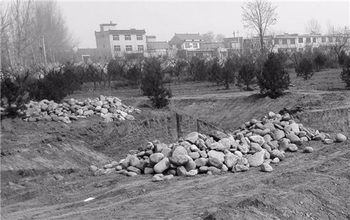 超低造價的生態景觀 | 秦嶺國家植物園人工濕地