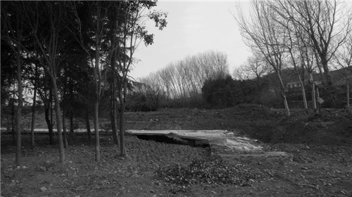 超低造價的生態景觀 | 秦嶺國家植物園人工濕地