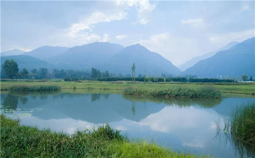 超低造價的生態景觀 | 秦嶺國家植物園人工濕地