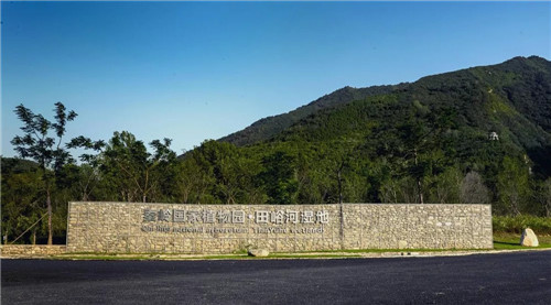 超低造價的生態景觀 | 秦嶺國家植物園人工濕地
