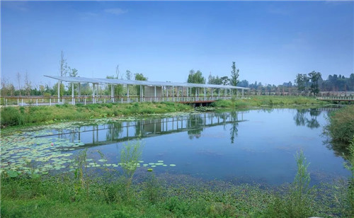 超低造價的生態景觀 | 秦嶺國家植物園人工濕地