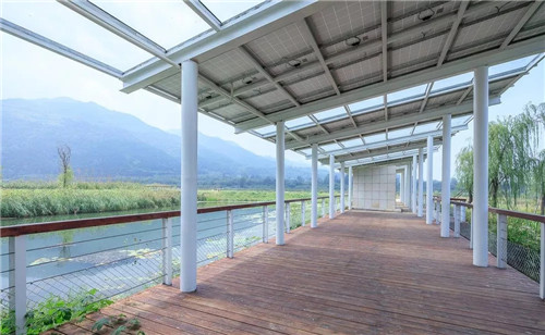 超低造價的生態景觀 | 秦嶺國家植物園人工濕地