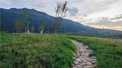 超低造價的生態景觀 | 秦嶺國家植物園人工濕地