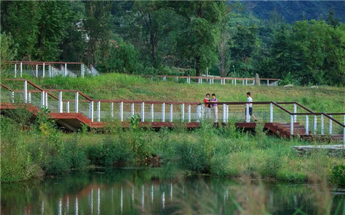 超低造價的生態景觀 | 秦嶺國家植物園人工濕地