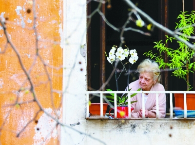 意大利園藝產(chǎn)業(yè)高速發(fā)展的秘訣