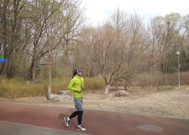 董麗:在植物景觀大師眼中 沒有雜草