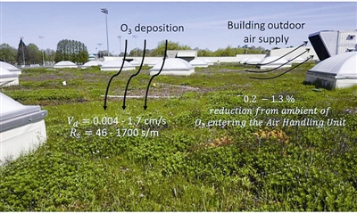 綠色屋頂可以減少室內空氣污染