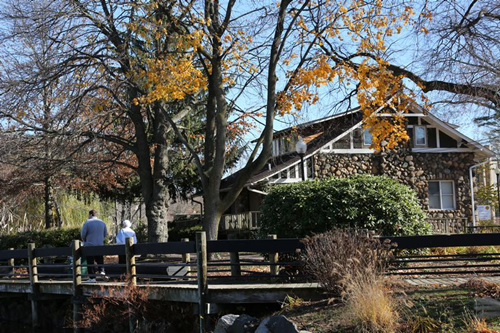 黃大莊：鄉村振興戰略背景下景觀建設及植物應用思考