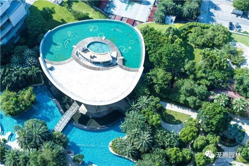 日觀山水,夜賞流螢|廣西北海北部灣1號