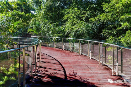 日觀山水,夜賞流螢|廣西北海北部灣1號