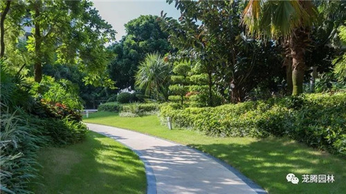 日觀山水,夜賞流螢|廣西北海北部灣1號