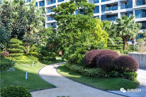 日觀山水,夜賞流螢|廣西北海北部灣1號