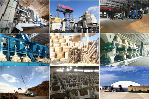 中國生物質顆粒大會為行業帶來了什么？