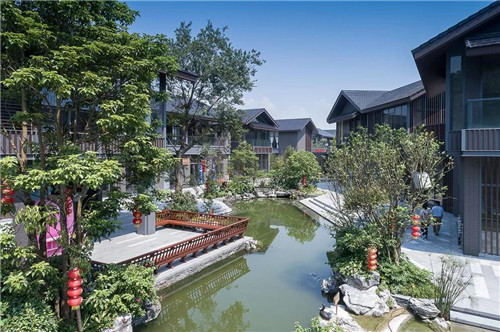 禪緣此地，不向遠方——新興禪域小鎮