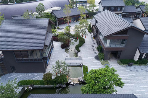 禪緣此地，不向遠方——新興禪域小鎮