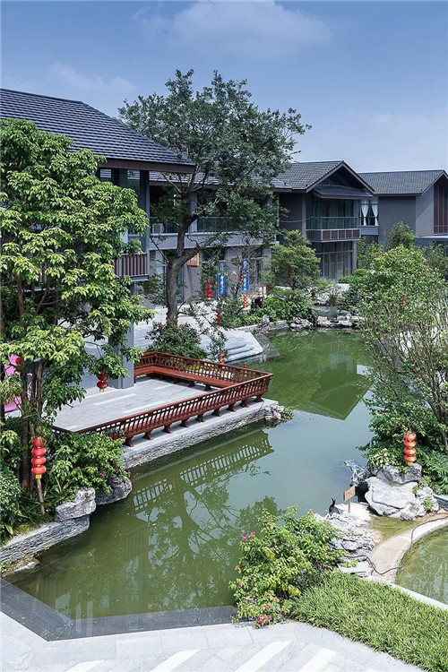 禪緣此地，不向遠方——新興禪域小鎮