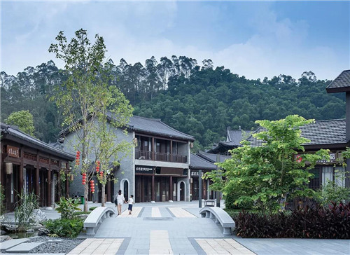 禪緣此地，不向遠方——新興禪域小鎮