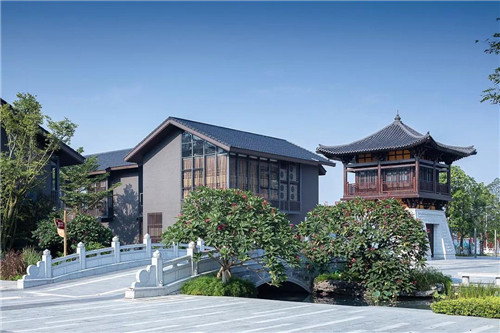 禪緣此地，不向遠方——新興禪域小鎮