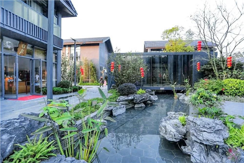 禪緣此地，不向遠方——新興禪域小鎮