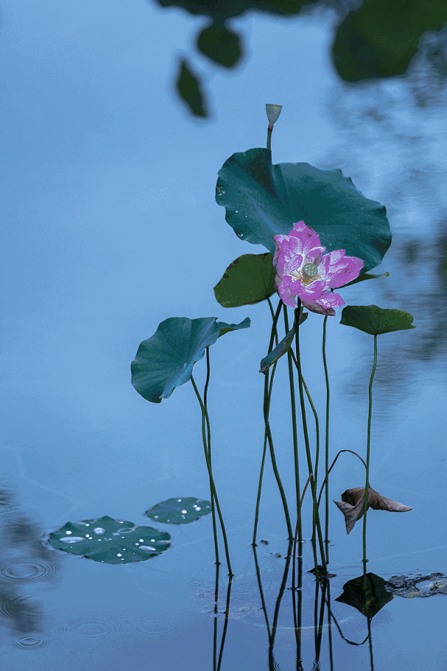 禪緣此地，不向遠方——新興禪域小鎮