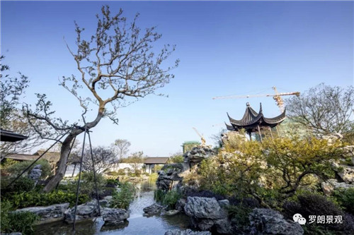 方寸之間，自有天地 | 南京建發?央譽