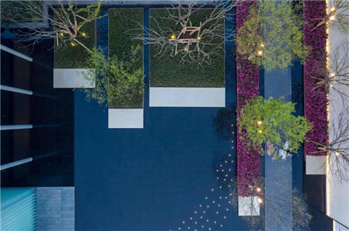 尋夢江淮 | 合肥龍湖景粼玖序