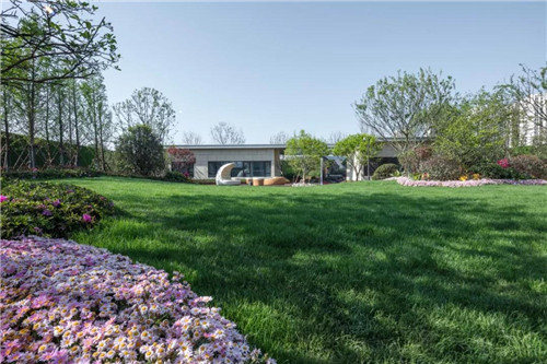 尋夢江淮 | 合肥龍湖景粼玖序