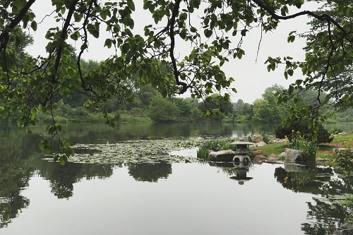 芝加哥大阪花園的往事