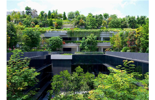 郭雋菡:藍綠宜居空間規劃與適應性海綿城市設計思考